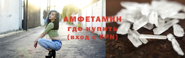 индика Бронницы