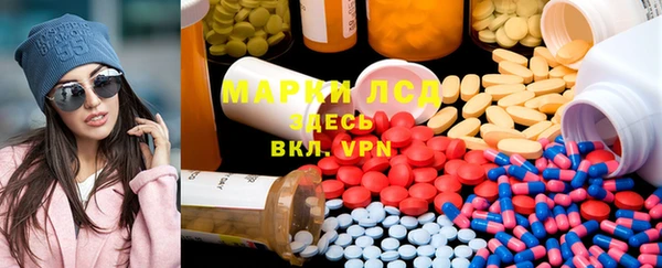 индика Бронницы