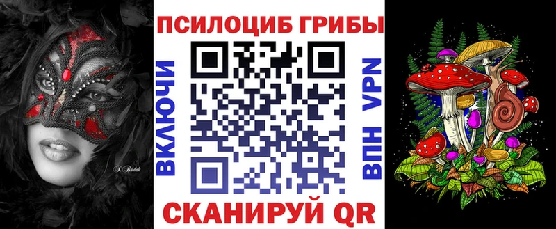 где можно купить   Среднеуральск  дарк нет официальный сайт  Галлюциногенные грибы GOLDEN TEACHER 